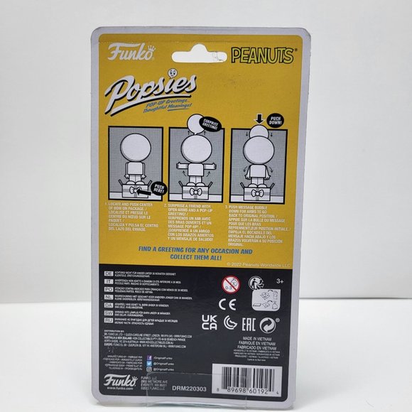 Funko Popsies Peanuts Charlie Brown Brand New Factory Sealed POP Collector Gift - Picture 4 of 8